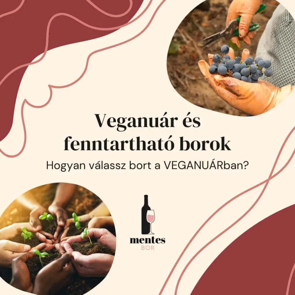 Veganuár és fenntartható borok – tudatos választás a poharadban